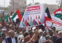 Rented power, borrowed strength: The illusion of Gulf power in war rented-power,-borrowed-strength:-the-illusion-of-gulf-power-in-war