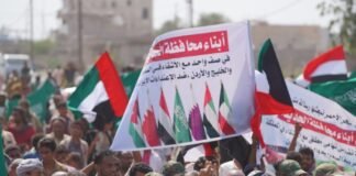 rented-power,-borrowed-strength:-the-illusion-of-gulf-power-in-war