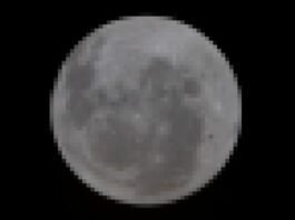 why-will-today’s-lunar-flyby-only-beam-back-low-resolution-video?