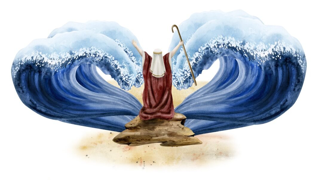 support-journalism-that-sees-the-human-story-clearly