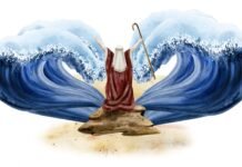 support-journalism-that-sees-the-human-story-clearly