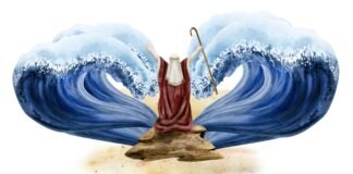 support-journalism-that-sees-the-human-story-clearly