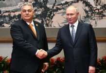 ‘At your service’: Hungary’s Orban offered help to Putin, Bloomberg reports ‘at-your-service’:-hungary’s-orban-offered-help-to-putin,-bloomberg-reports