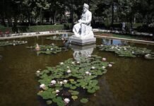 bombs,-poetry-and-paradise:-why-trump-can’t-erase-iran