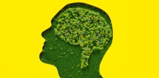 ai-on-the-couch:-anthropic-gives-claude-20-hours-of-psychiatry