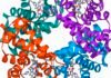 clinical-trial-shows-gene-editing-works-for-β-thalassaemia,-too