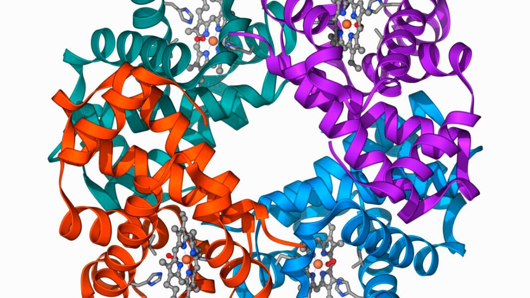 clinical-trial-shows-gene-editing-works-for-β-thalassaemia,-too clinical-trial-shows-gene-editing-works-for-β-thalassaemia,-too