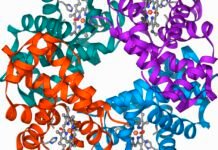 clinical-trial-shows-gene-editing-works-for-β-thalassaemia,-too