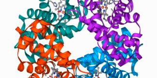 clinical-trial-shows-gene-editing-works-for-β-thalassaemia,-too