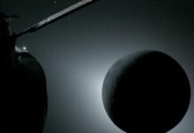 The gravity of their experience hasn’t quite set in for the Artemis II astronauts the-gravity-of-their-experience-hasn’t-quite-set-in-for-the-artemis-ii-astronauts