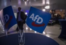 germany’s-far-right-afd-adopts-‘radical’-manifesto-ahead-of-key-polls