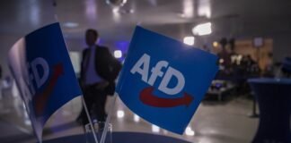 germany’s-far-right-afd-adopts-‘radical’-manifesto-ahead-of-key-polls