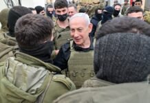 israel-rejects-lebanon-ceasefire-during-washington-talks:-report