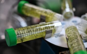 Colorado Marijuana Regulators Pledge Crackdown on Intoxicating Hemp colorado-marijuana-regulators-pledge-crackdown-on-intoxicating-hemp