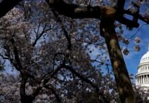 Will voters turn against Donald Trump in the US midterms? What we know so far will-voters-turn-against-donald-trump-in-the-us-midterms?-what-we-know-so-far