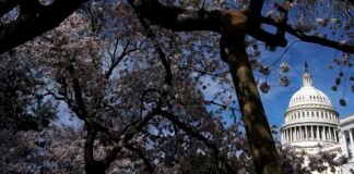 will-voters-turn-against-donald-trump-in-the-us-midterms?-what-we-know-so-far