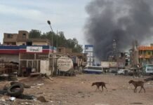 ICRC: Over 11,000 missing in Sudan war icrc:-over-11,000-missing-in-sudan-war