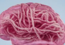 What’s the deal with Alzheimer’s disease and amyloid? what’s-the-deal-with-alzheimer’s-disease-and-amyloid?