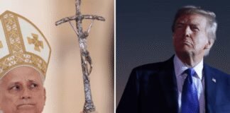 Pope Leo, attacked again by Trump, flies to Cameroon on Africa tour pope-leo,-attacked-again-by-trump,-flies-to-cameroon-on-africa-tour