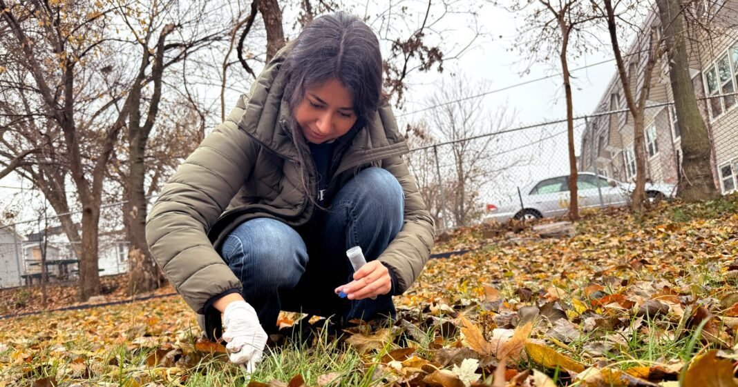 what-you-should-know-about-lead-contamination-in-omaha,-nebraska