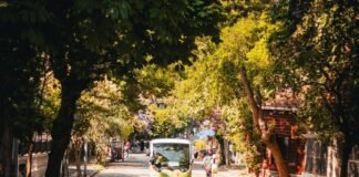 at-least-18-feared-dead-in-fiery-minibus-disaster