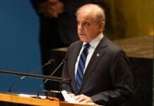 sharif-leads-regional-talks-as-pakistan-positions-itself-in-potential-us-iran-negotiations