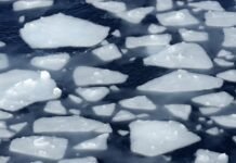 deep-diving-robots-help-crack-the-mystery-of-antarctica’s-vanishing-sea-ice