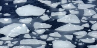 deep-diving-robots-help-crack-the-mystery-of-antarctica’s-vanishing-sea-ice