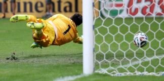 we-designed-the-turf-for-soccer’s-biggest-world-cup-ever-–-here’s-how-we-created-the-same-playing-experience-across-3-countries