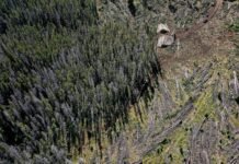 the-trump-administration-wants-to-take-an-ax-to-the-east’s-last-great-forests