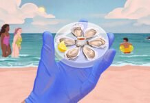 a-deadly-bacteria-is-creeping-up-the-atlantic-coast.-how-worried-should-you-be?