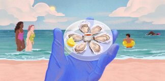 a-deadly-bacteria-is-creeping-up-the-atlantic-coast.-how-worried-should-you-be?