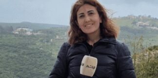 lebanese-journalist-amal-khalil-killed-in-israeli-strike-in-southern-lebanon