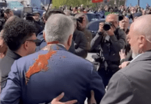 protester throws red-liquid-on-pahlavi-in-berlin 