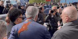 protester throws red-liquid-on-pahlavi-in-berlin 