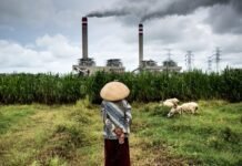 why-japan-should-help-pay-for-indonesia’s-coal-exit