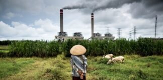 why-japan-should-help-pay-for-indonesia’s-coal-exit