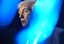 trump-feeds-america’s-enduring-appetite-for destruction