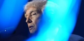 trump-feeds-america’s-enduring-appetite-for destruction