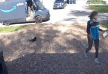 amazon-delivery-steals-family’s-elderly-cat-–-euthanized-before-owners-can-say-goodbye