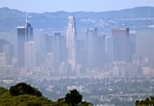 nearly-half-of-us-children-are-breathing-dangerous-levels-of-air-pollution,-report-warns