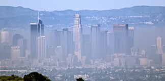 nearly-half-of-us-children-are-breathing-dangerous-levels-of-air-pollution,-report-warns
