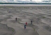 next-el-nino-could-be-tipping-point-for-a-hotter-climate