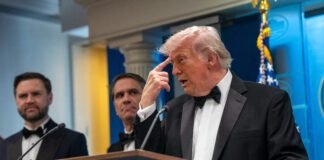 how-trump’s-america-produces-normie-assassins