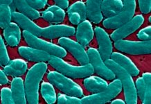 flesh-eating-bacteria-devour-man’s-arm-and-leg-in-just-three-days