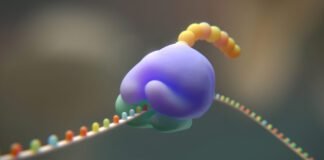 researchers-try-to-cut-the-genetic-code-from-20-to-19-amino-acids