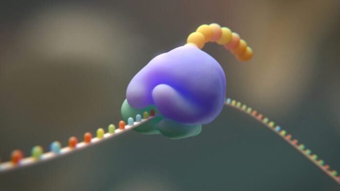 researchers-try-to-cut-the-genetic-code-from-20-to-19-amino-acids
