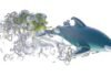 research-roundup:-6-cool-science-stories-we-almost-missed