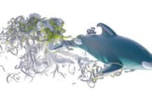 research-roundup:-6-cool-science-stories-we-almost-missed