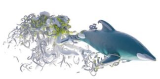 research-roundup:-6-cool-science-stories-we-almost-missed